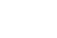 MAIS ANIMAIS E INSETOS AJUDAM A PINTAR ESTA INSÓLITA HISTÓRIA.